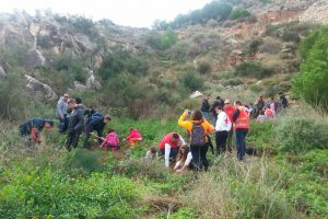 Ayuntamiento de Novelda 20181118_103952-ayto-300x200 Alta participación en la jornada de reforestación popular 