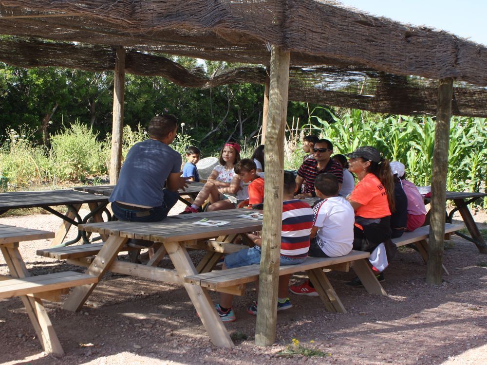 Ayuntamiento de Novelda ayto-huertos Una visita als Horts Ecològics Municipals tanca la campanya d'educació escolar mediambiental 
