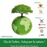 Ayuntamiento de Novelda Cartel-reforesta-web-150x150 Reforestación popular en el Vinalopó para celebrar el Día del Árbol 