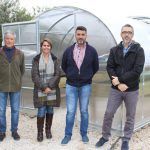 Ayuntamiento de Novelda 03-9-150x150 Los Huertos Ecológicos Municipales ponen en funcionamiento un nuevo invernadero 