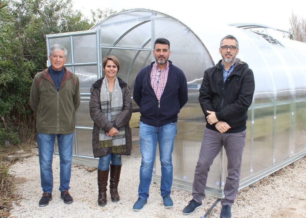 Ayuntamiento de Novelda 03-9 Los Huertos Ecológicos Municipales ponen en funcionamiento un nuevo invernadero 
