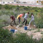 Ayuntamiento de Novelda 02-6-150x150 Medio Ambiente realiza la tradicional Reforestación Escolar 