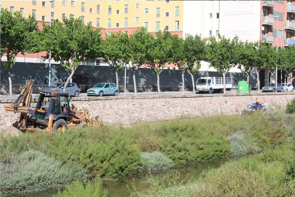 Ayuntamiento de Novelda 01-12-1024x683 Medio Ambiente realiza trabajos de desbroce en el cauce del Vinalopó 