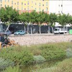 Ayuntamiento de Novelda 01-12-150x150 Medio Ambiente realiza trabajos de desbroce en el cauce del Vinalopó 