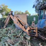 Ayuntamiento de Novelda 02-19-150x150 Medi Ambient retira més de 10 tones de cactus Cylindropuntia del llit del riu 