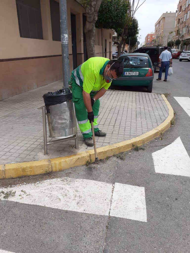 Ayuntamiento de Novelda 02-768x1024 Manteniment de Ciutat fa treballs de neteja i desbrossament viari 