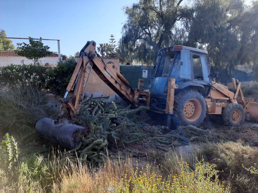 Ayuntamiento de Novelda 03-14-1024x768 Medio Ambiente retira más de 10 toneladas de cactus Cylindropuntia del cauce del río 