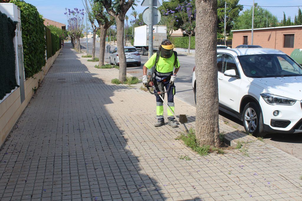 Ayuntamiento de Novelda 06-7-1024x683 Mantenimiento de Ciudad realiza trabajos de limpieza y desbroce vial 