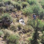 Ayuntamiento de Novelda 04-8-150x150 Medio Ambiente inicia la limpieza de chumberas de la ladera del cerro de La Mola 