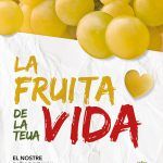Ayuntamiento de Novelda 03-150x150 “La fruita de la teua vida”, campaña de apoyo y promoción para la uva de mesa embolsada 