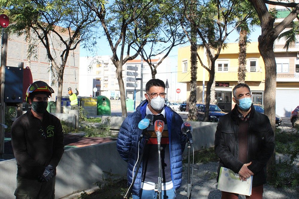 Ayuntamiento de Novelda 04-2 Se inicia la campaña anual de poda del arbolado municipal 