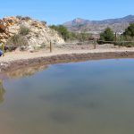 Ayuntamiento de Novelda 06-9-150x150 Medi Ambient posa en marxa una nova bassa per al Fartet en la pedrera de la Mola 