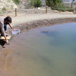 Ayuntamiento de Novelda 07-6-150x150 Medi Ambient posa en marxa una nova bassa per al Fartet en la pedrera de la Mola 