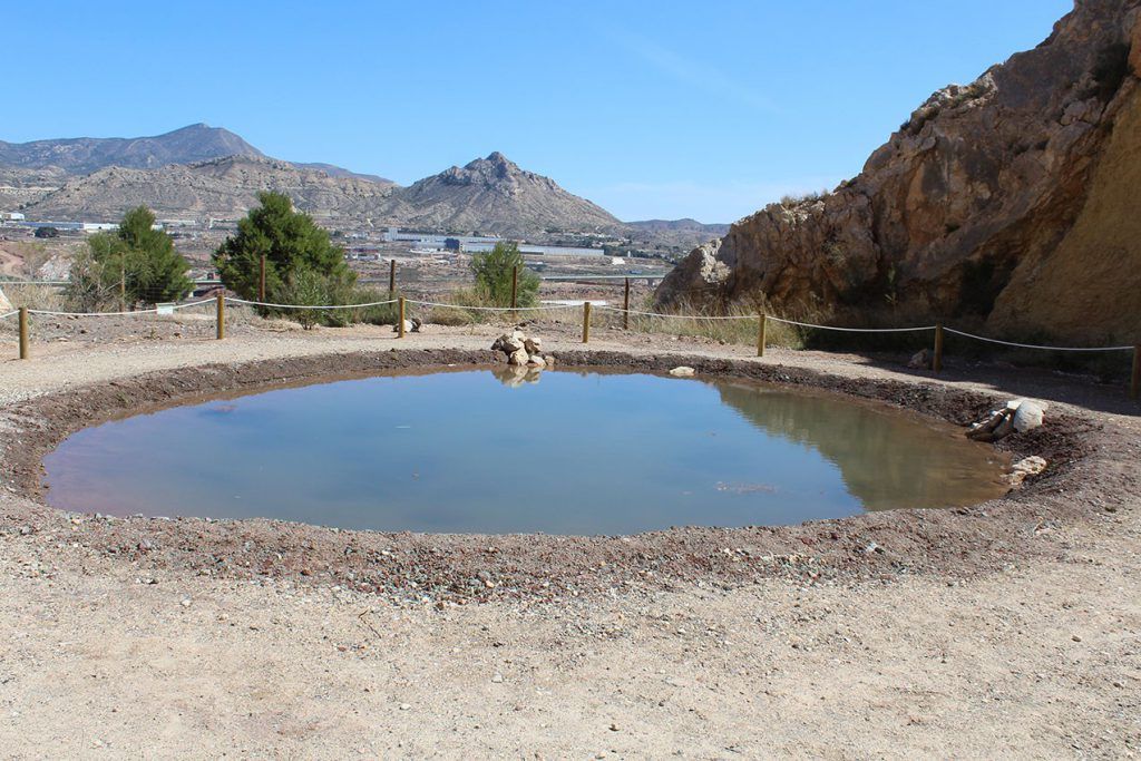 Ayuntamiento de Novelda 12-2-1024x683 Medi Ambient posa en marxa una nova bassa per al Fartet en la pedrera de la Mola 