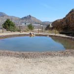 Ayuntamiento de Novelda 12-2-150x150 Medi Ambient posa en marxa una nova bassa per al Fartet en la pedrera de la Mola 