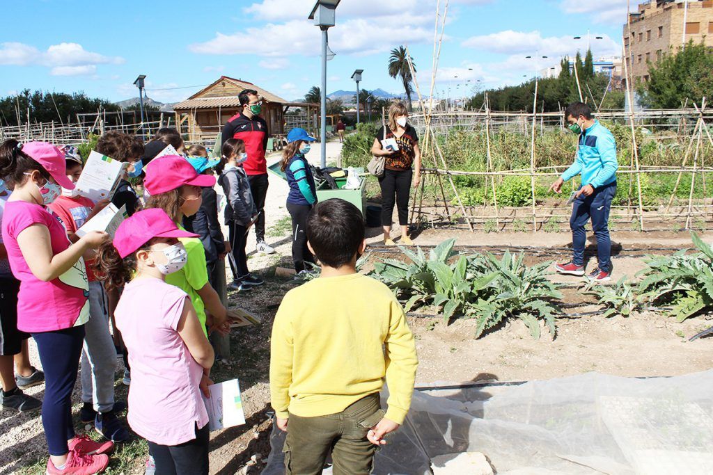 Ayuntamiento de Novelda 03-7-1024x683 Una visita als Horts Ecològics tancament la campanya escolar d'educació ambiental 