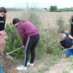 Ayuntamiento de Novelda 04-15-150x150 Voluntaris de l'IES La Mola participen en la campanya d'Educació Ambiental Municipal 
