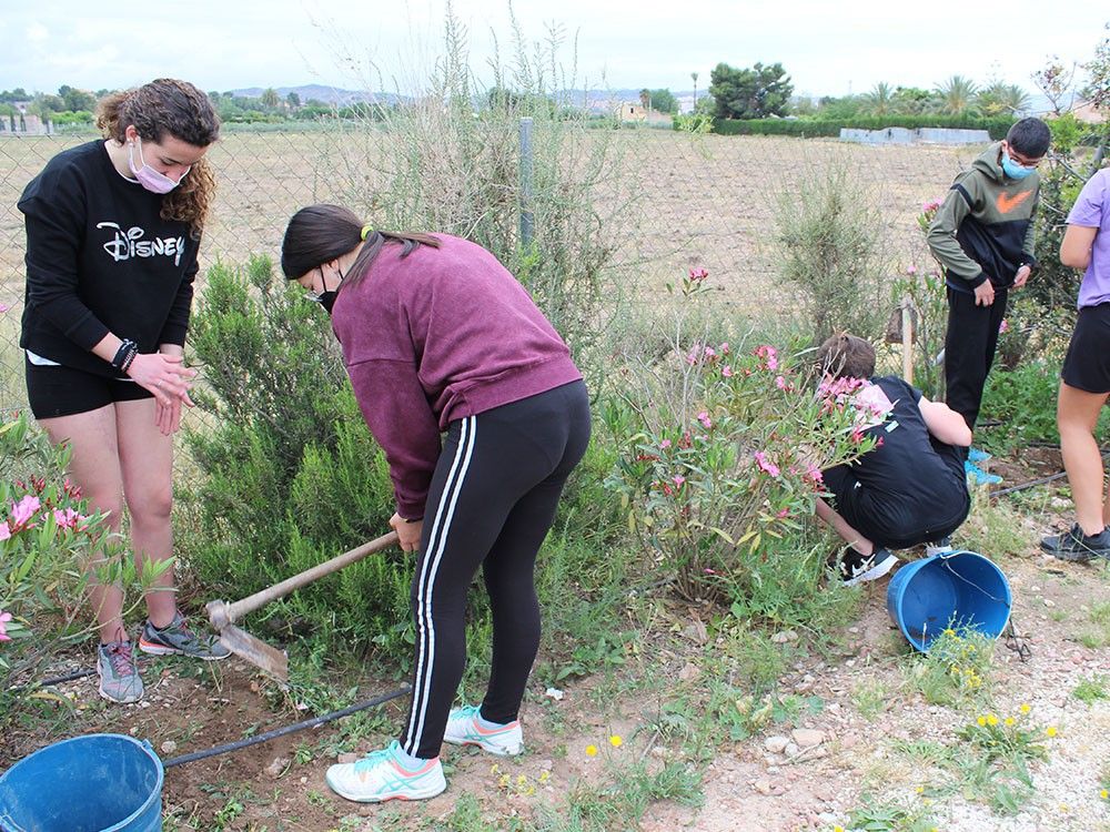 Ayuntamiento de Novelda 04-15 Voluntarios del IES La Mola participan en la campaña de Educación Ambiental Municipal 