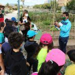Ayuntamiento de Novelda 04-4-150x150 Una visita als Horts Ecològics tancament la campanya escolar d'educació ambiental 