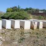 Ayuntamiento de Novelda 03-1-150x150 Medi Ambient rehabilita el pas del riu a l'altura de Ledua 