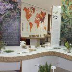 Ayuntamiento de Novelda 01-19-150x150 El Centro Cultural Gómez-Tortosa acoge la exposición “Especias: El Universo del Sabor” 