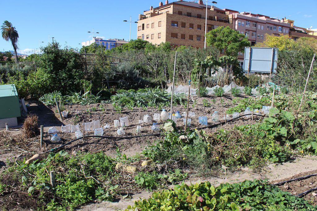 Ayuntamiento de Novelda 03-1-1024x683 Los huertos ecológicos reciben una subvención de Diputación para la mejora de instalaciones 