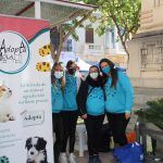 Ayuntamiento de Novelda 11-150x150 Novelda celebra la Fira del Voluntariat 