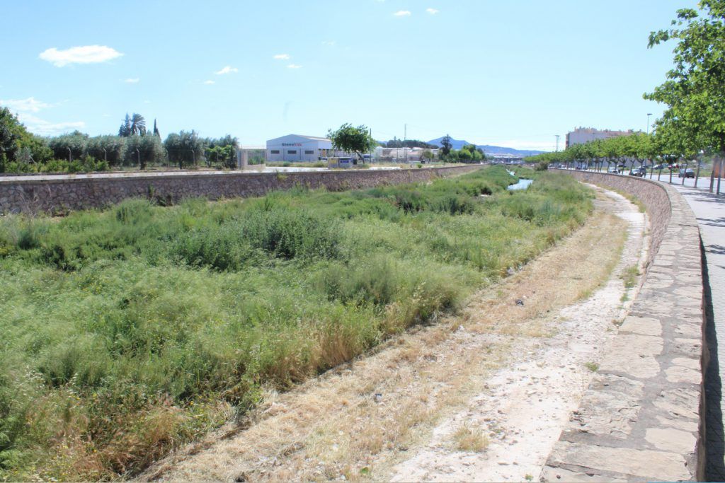 Ayuntamiento de Novelda 01-Desbroce-cauce-rio-1024x683 Medio Ambiente realiza trabajos de desbroce en el cauce del Vinalopó 
