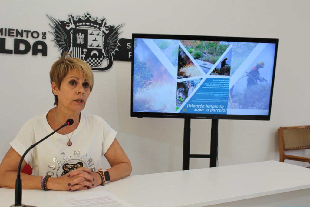 Ayuntamiento de Novelda 01-Limpieza-parcelas-1024x683 Medio Ambiente pone en marcha una campaña informativa para la limpieza de solares y parcelas 