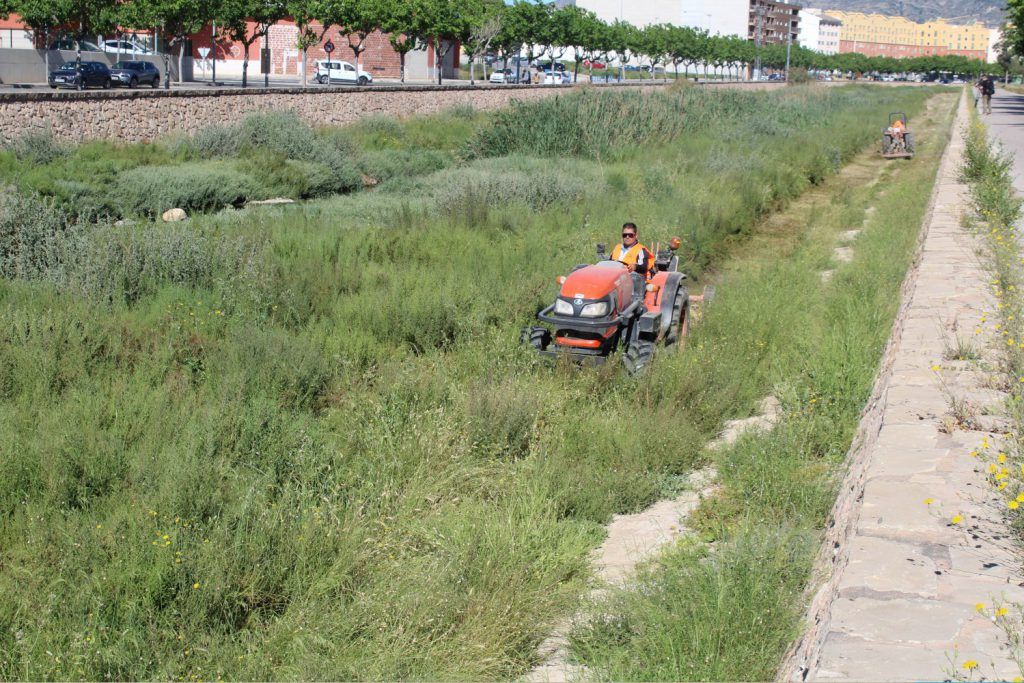 Ayuntamiento de Novelda 02-Desbroce-cauce-rio-1024x683 Medio Ambiente realiza trabajos de desbroce en el cauce del Vinalopó 