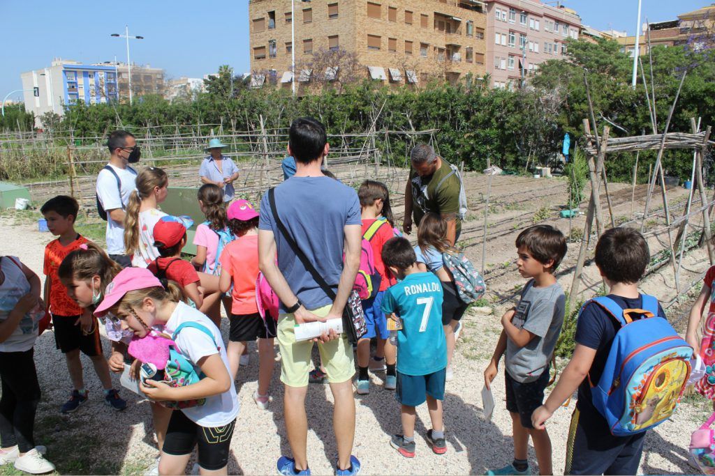 Ayuntamiento de Novelda 02-huertos-ecológicos-1024x683 Els horts ecològics reben la visita dels escolars noveldenses 