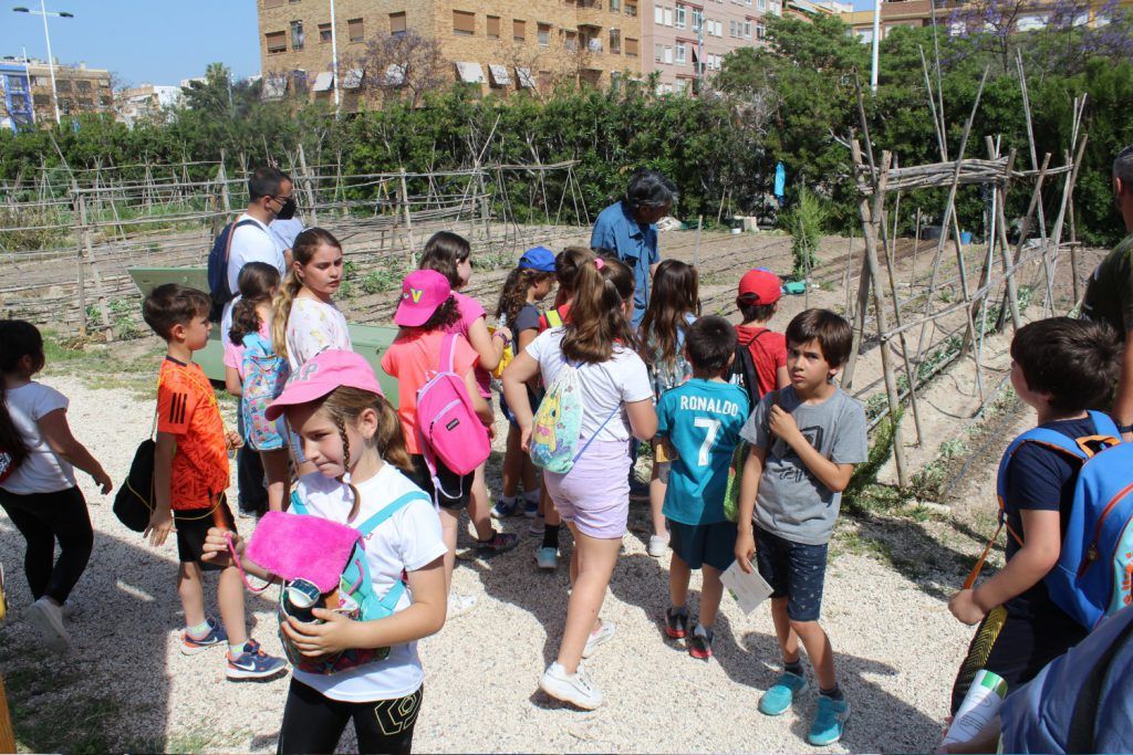 Ayuntamiento de Novelda 03-huertos-ecológicos-1024x683 Els horts ecològics reben la visita dels escolars noveldenses 