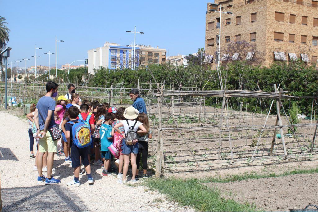 Ayuntamiento de Novelda 04-huertos-ecológicos-1024x683 Els horts ecològics reben la visita dels escolars noveldenses 