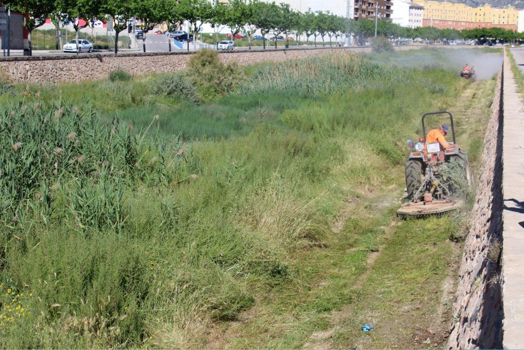 Ayuntamiento de Novelda 05-Desbroce-cauce-rio-1024x683 Medio Ambiente realiza trabajos de desbroce en el cauce del Vinalopó 