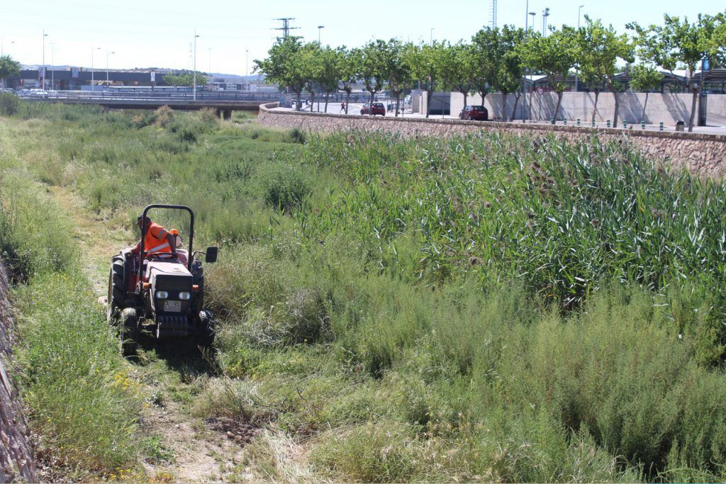 Ayuntamiento de Novelda 06-Desbroce-cauce-rio-1024x683 Medio Ambiente realiza trabajos de desbroce en el cauce del Vinalopó 