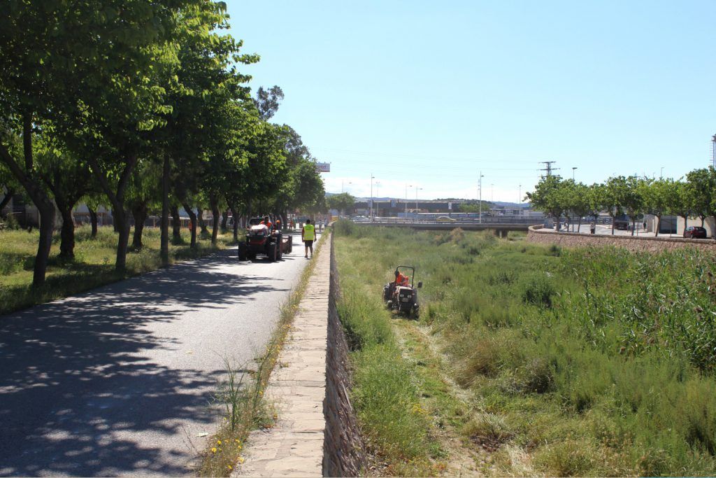 Ayuntamiento de Novelda 07-Desbroce-cauce-rio-1024x683 Medio Ambiente realiza trabajos de desbroce en el cauce del Vinalopó 