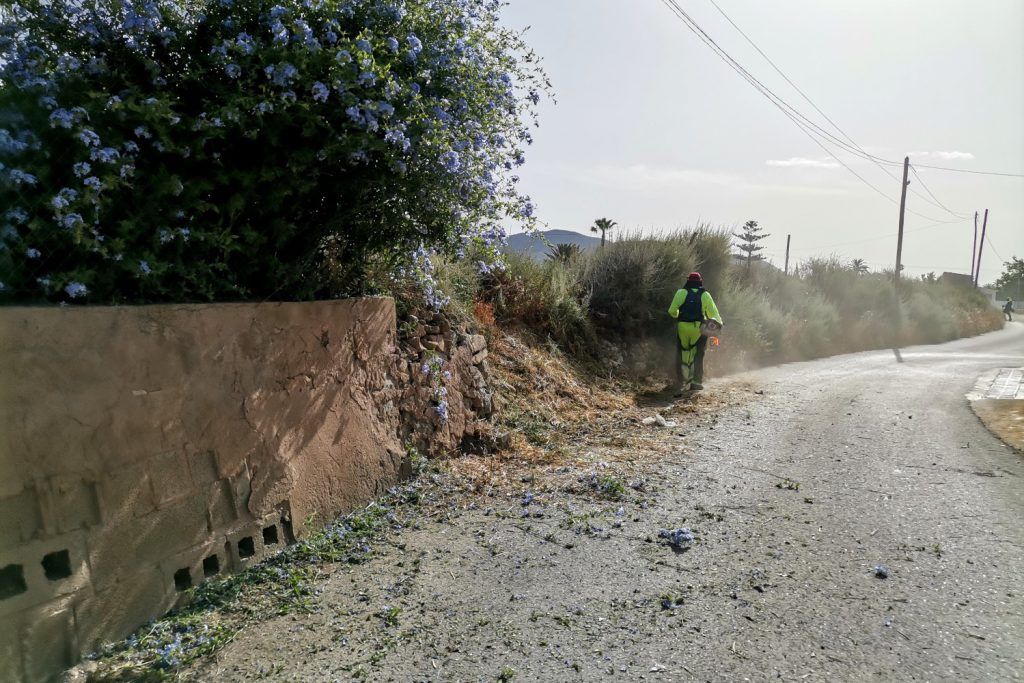 Ayuntamiento de Novelda 01-desbroce-caminos-1024x683 Se inician los trabajos  de desbroce y mantenimiento de caminos rurales 