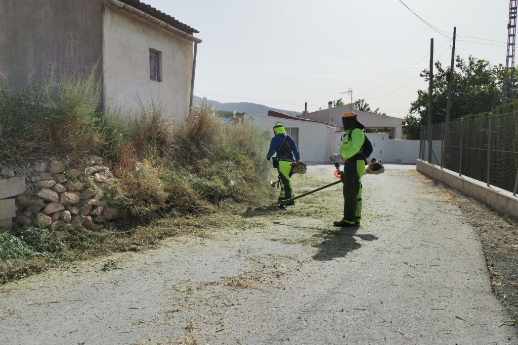 Ayuntamiento de Novelda 04-desbroce-caminos-1024x683 Se inician los trabajos  de desbroce y mantenimiento de caminos rurales 