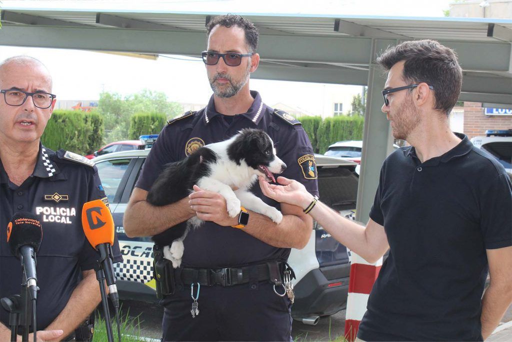 Ayuntamiento de Novelda Unidad-canina-1-1024x683 La Policia Local crea la Unitat Canina per a la detecció de drogues 
