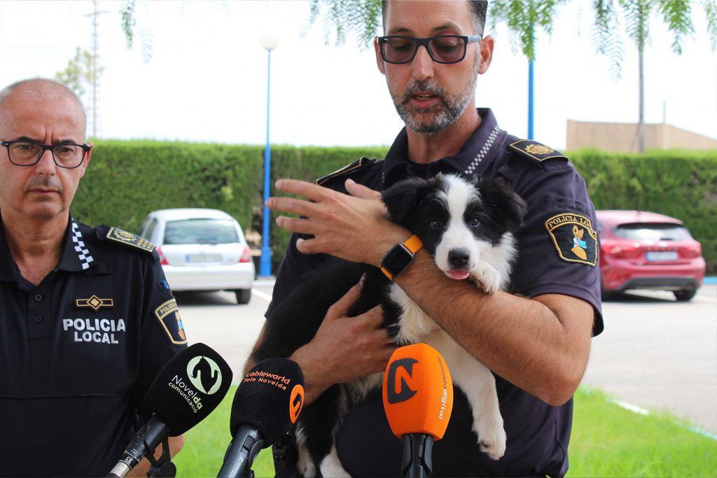 Ayuntamiento de Novelda Unidad-canina-3-1024x683 La Policia Local crea la Unitat Canina per a la detecció de drogues 