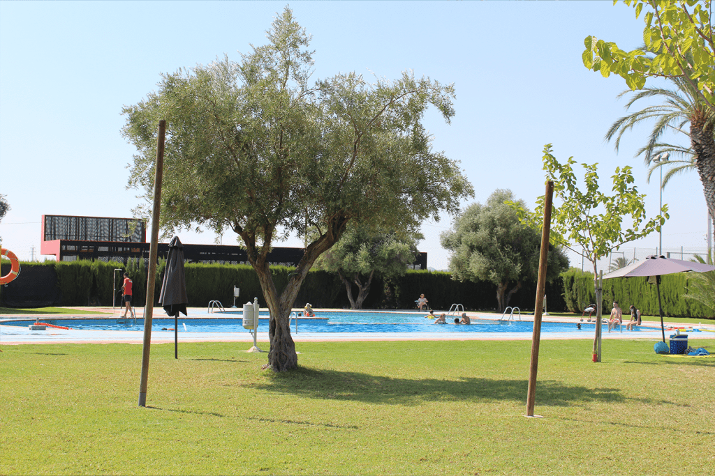 Ayuntamiento de Novelda 11-1024x683 El Govern Municipal encarrega el projecte per a la millora integral de les piscines municipals 
