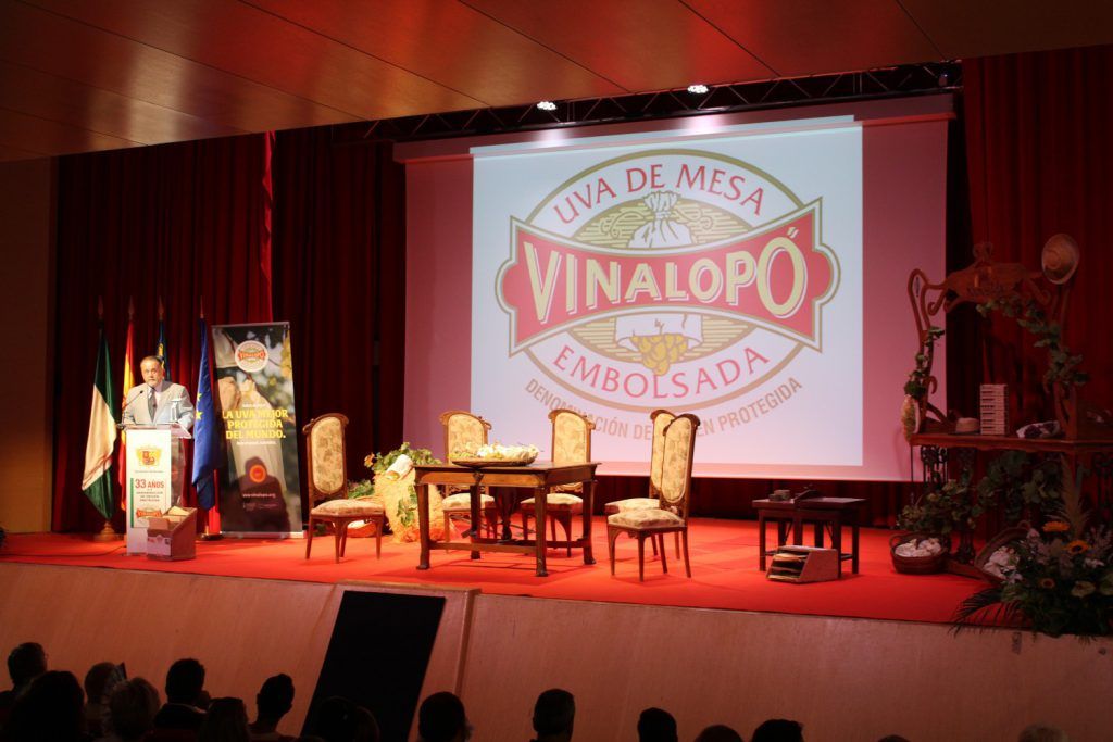 Ayuntamiento de Novelda 22campaña-uva-1024x683 Arranca la campaña de la uva de mesa embolsada del Vinalopó 