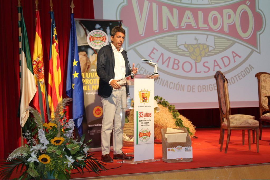 Ayuntamiento de Novelda 24-campaña-uva-1024x683 Arranca la campaña de la uva de mesa embolsada del Vinalopó 