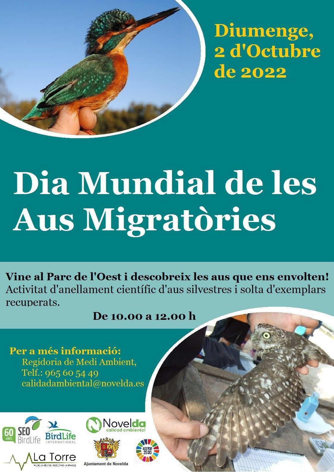 Ayuntamiento de Novelda Dia-de-las-aves-2022-Def-1 Día Mundial de las Aves Migratorias 
