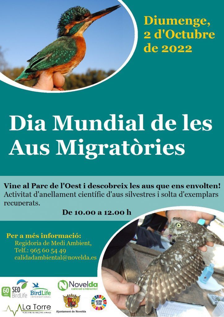 Ayuntamiento de Novelda Dia-de-las-aves-2022-Def-724x1024 El Parc de l'Oest acull una jornada d'anellament d'ocells 