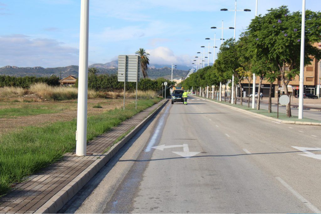 Ayuntamiento de Novelda 01-subvencion-mosquitos-1024x683 L'Ajuntament rep una subvenció de la Diputació d'Alacant per al control de plagues de mosquits 