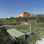 Ayuntamiento de Novelda 04-Huerto-ecologico-150x150 Els Horts Ecològics Municipals reben una subvenció de Diputació per a la millora d'instal·lacions 
