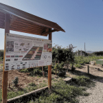 Ayuntamiento de Novelda 05-Huerto-ecologico-150x150 Els Horts Ecològics Municipals reben una subvenció de Diputació per a la millora d'instal·lacions 