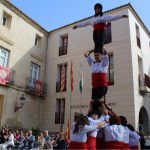 Ayuntamiento de Novelda 12-Dia-Comunitat-150x150 Novelda celebra el 9 d’Octubre 