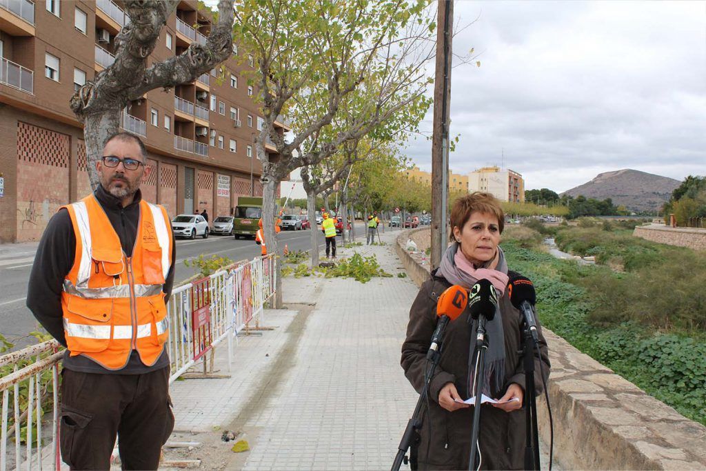 Ayuntamiento de Novelda poda-1024x683 Medio Ambiente pone en marcha la campaña de poda anual 